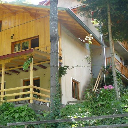 Mountain Sun Guest House Chiflik Exterior photo